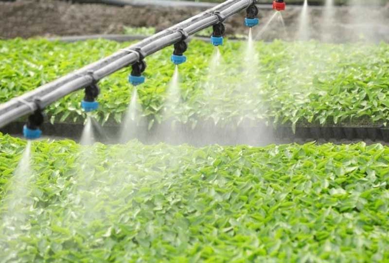 Kiểm nghiệm nước dùng trong trồng trọt