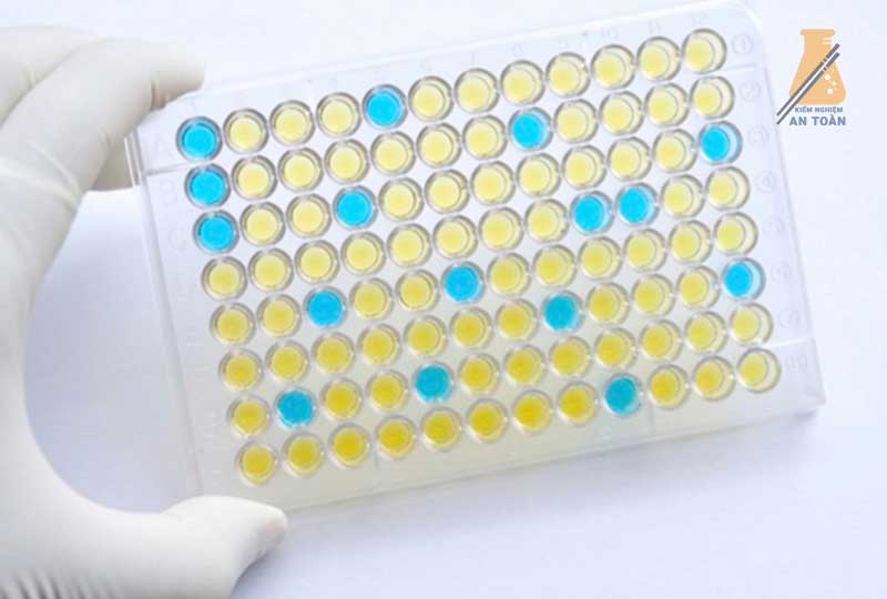 Phương pháp xét nghiệm miễn dịch