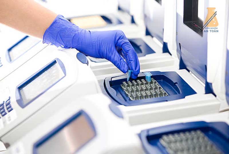 Phương pháp phản ứng chuỗi Polymerase (PCR)