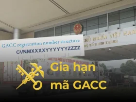 gia hạn mã GACC