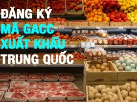 Đăng ký GACC