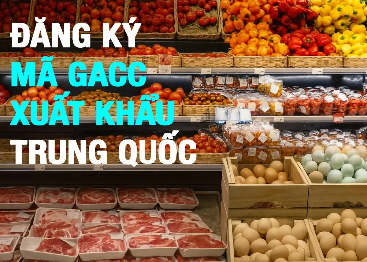 Đăng ký GACC