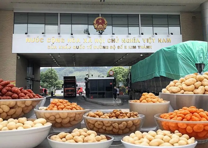 Dịch vụ đăng ký mã GACC