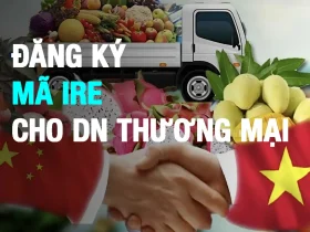 đăng ký mã IRE