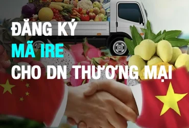 đăng ký mã IRE