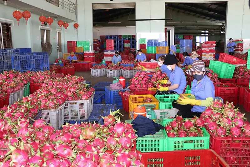 Cảnh báo và lời khuyên cho doanh nghiệp