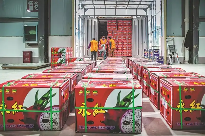 Dịch vụ đăng ký mã IRE