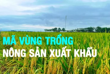 mã vùng trồng