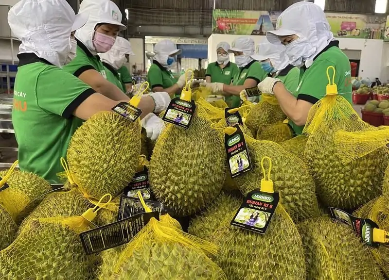 Vì sao mã vùng trồng quan trọng