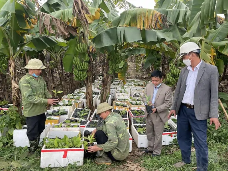 Khảo sát, đánh giá thực địa
