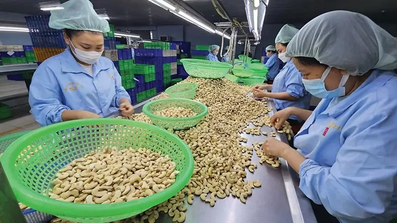Vai Trò Và Tầm Quan Trọng Của Mã GACC