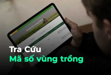 Tra cứu mã vùng trồng