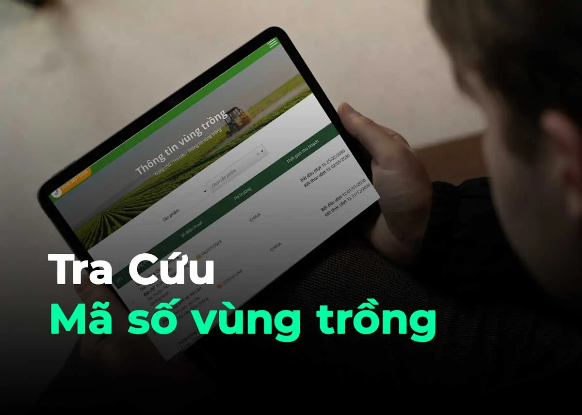 Tra cứu mã vùng trồng