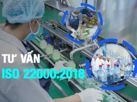 SNI tư vấn ISO 22000
