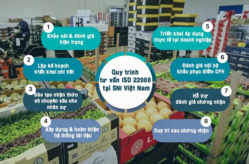 Quy trình tư vấn ISO 22000 tại SNI Việt Nam