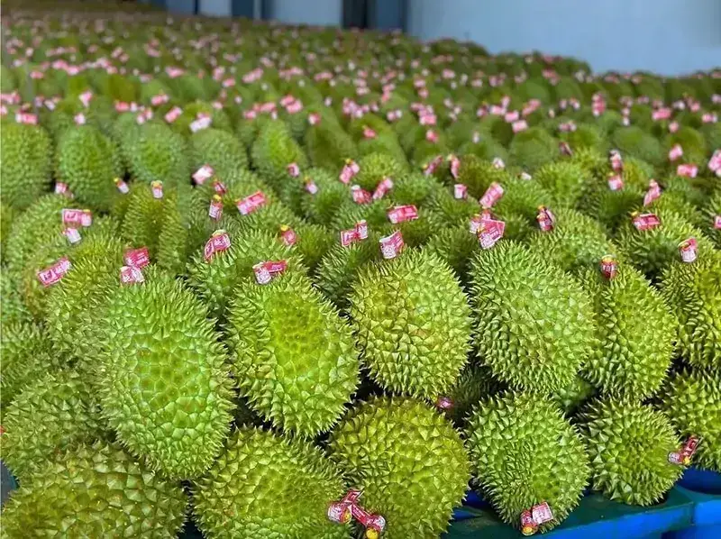 các cơ quan quản lý và hiệp hội ngành hàng đang triển khai nhiều giải pháp toàn diện