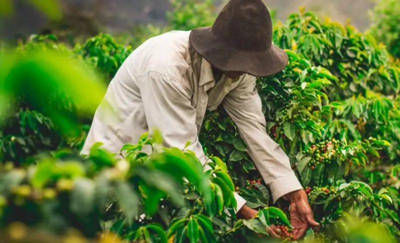 Các chứng nhận và giải pháp bổ sung trong hệ thống 4C